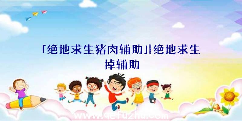 「绝地求生猪肉辅助」|绝地求生掉辅助